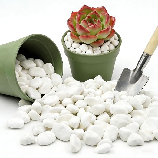 Snow White Polished River Rocks, 5/8 Inch Natural Decorative Pebbles for Fish Tank, Vase Fillers, Indoor Plants & Garden Landscaping,White Stones for Crafts, Succulents, Home Decor-6LB