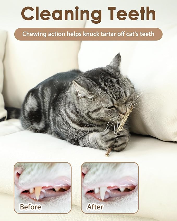 Tocirelo Cat Toys Silvervine Sticks - 10Pack Natural Catnip Toys for Indoor Cats, Catmint Silvervine Blend Kitten Chew Sticks, Matatabi Cat Dental Care Treats for Teeth Cleaning, Kitten Teething Toy