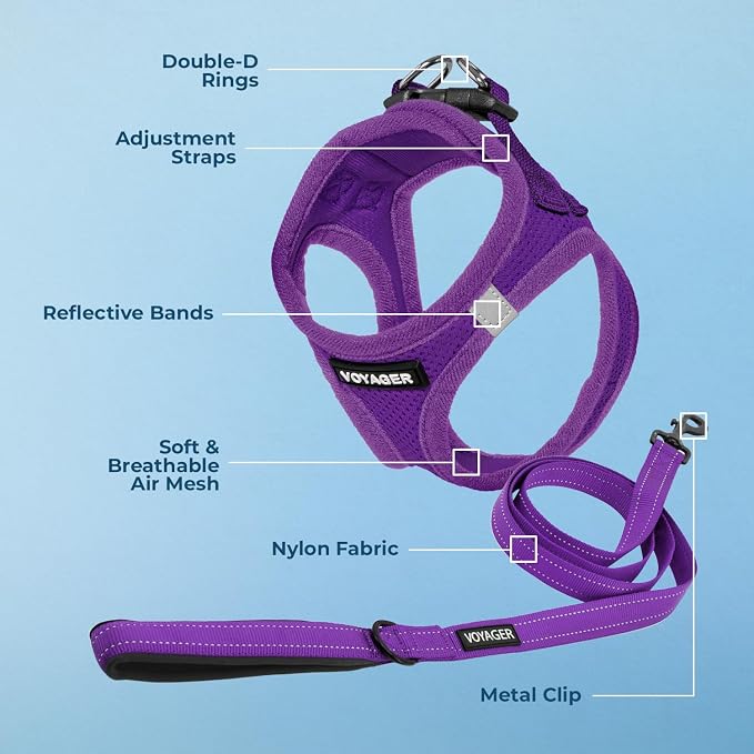 Best Pet Supplies Voyager Step-in Air All Weather Mesh Harness and Reflective Dog 5ft Leash Combo with Neoprene Handle, for Small, Medium and Large Breed Puppies - Set (Purple), XXX-Small
