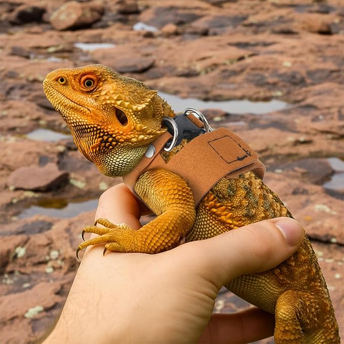 4 PCS Harness and Leash Set, Adjustable Soft Leather Bearded Dragon Leash and Harness Set for Small Animals, Reptiles, Squirrels, Rats (Brown, Black, Silver)