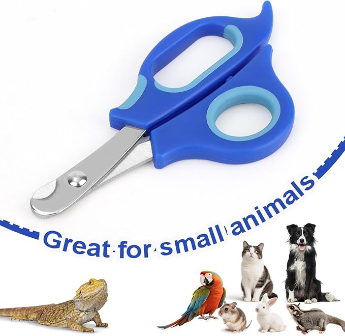 BOXOB Bearded Dragon Nail Clippers, Stainless Steel Pet Animal Lizard Cat Dog Toe Nail Scissors Trimmer Professional Reptile Grooming Tool with Precise Angled Edge for Small Reptiles Turtle Chameleon