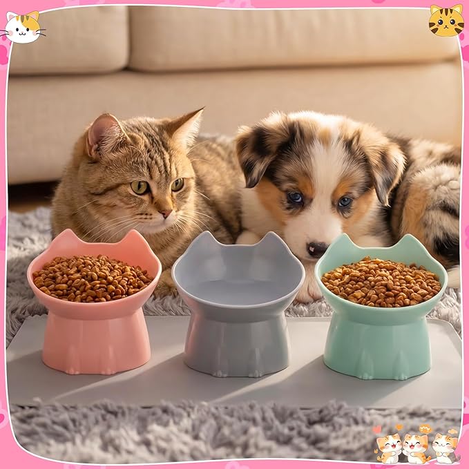 3 Pcs Elevated Cat Bowls 15°Raised Cat Food Bowl with Silicone Mat Whisker Friendly Anti Vomiting Cats Dishes Pet Food and Water Bowls for Indoor Cats Kittens, Pink, Green, Gray