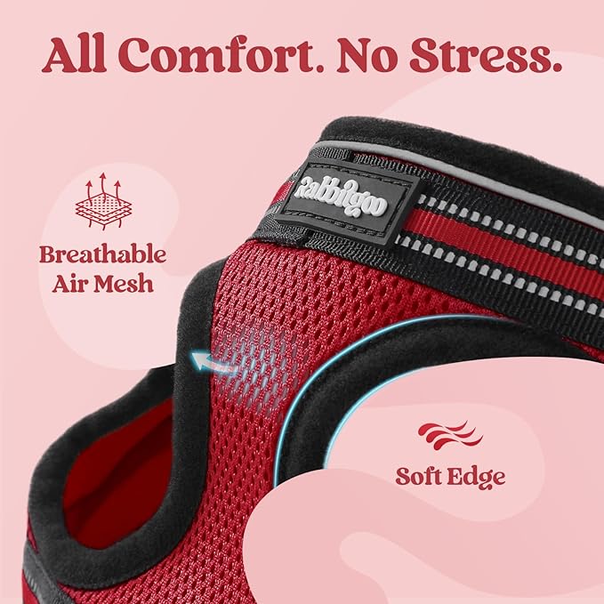 rabbitgoo Cat Harness and Leash Set for Walking Escape Proof, Adjustable Soft Kittens Vest with Reflective Strip for Cats, Comfortable Outdoor Vest, Red, M