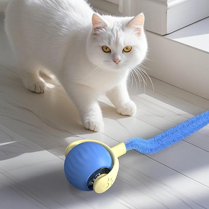Interactive Cat Toys for Indoor Cats,Automatic Moving Kitten Toys,Cat Toys for Bored Indoor Adult Cats,Smart Rechargeable Cat Enrichment Toys for Small/Medium/Large Cats to Keep Them Busy, Cat Balls