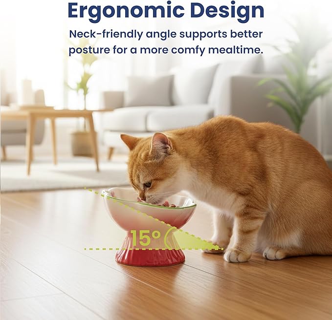 PawsPik Strawberry Blooms Elevated Ceramic Cat Bowl – Raised Cat Food Bowl with 15° Tilt, Whisker-Friendly Pet Feeding Bowl, Anti-Choking Dish, Dishwasher Safe (Red)
