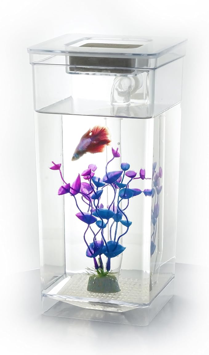 My 1st Fish Tank™ : Gen 2, Mini Fish Tank Aquarium Starter Kit 1 gal, Professional for Betta, Easny Maintain, Self Cleaning System-Only Add Water, Beautiful Color Changing LED Light, Color Box