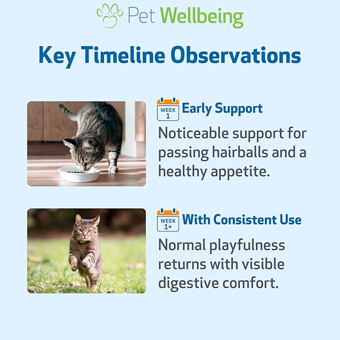 Pet Wellbeing Hairball Gold for Cats - Vet-Formulated - Eases Passage of Hairballs Through Digestive Tract - No Mineral Oil, All-Natural Lubrication - 2 oz (59 ml)