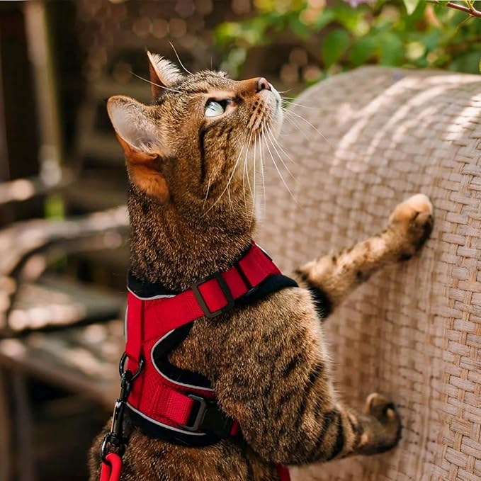 rabbitgoo Cat Harness and Leash for Walking, Escape Proof Soft Adjustable Vest Harnesses for Cats, Easy Control Breathable Reflective Strips Jacket, Red, XS