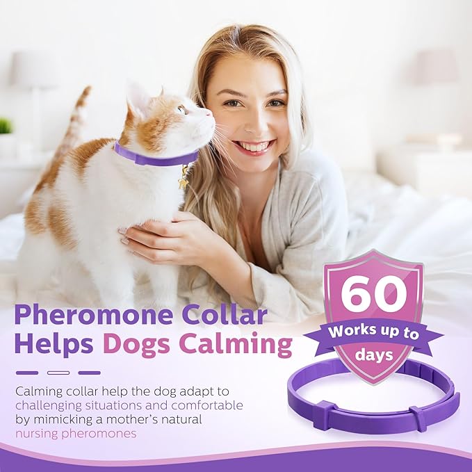 Silkfly 16 Pcs Calming Collar for Cats with 16 Gold Lobster Clasp and 16 Pendants, Adjustable Cat Pheromone Collar Purple Calming Collar for Cats Anxiety and Stress Relief Cat Stop Meowing, 15 Inch