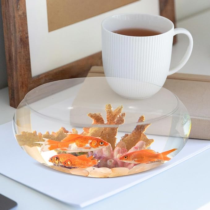 Sewroro Glass Fish Bowl Small Fish Tank Desktop Aquarium for Goldfish Clear Hydroponic Plant Pot Shallow Glass Bowl for Home Office Garden Wedding Anniversary Birthday Decor