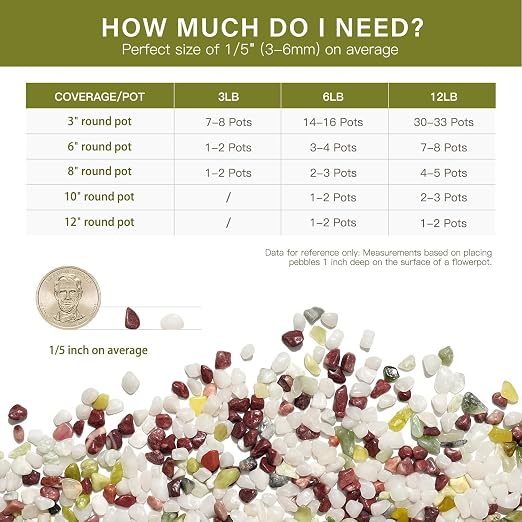 NUPICK 3 lbs Pebbles for Indoor Plants, 1/5 Inch Pea Gravel for Fish Tank | Polished Decorative Rocks for Succulent, Natural River Stones for Vases, Landscaping, Bird Bath, Aquarium, Colorful Mixed