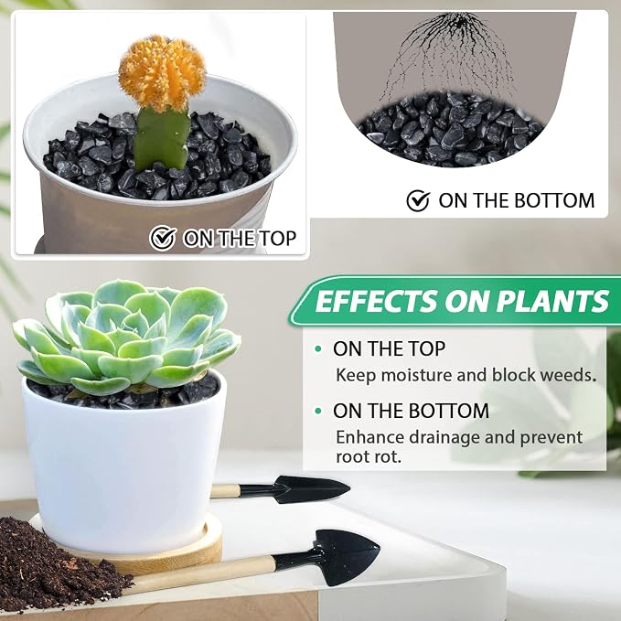 Succulent Rocks for Plants Tiny Pebbles for Planters 11.8LB Pea Gravel Bulk Course Sand Soil Small Decorative Stones for Indoor Bonsai Pots Cactus Top Dressing Aquarium Garden Landscape Black