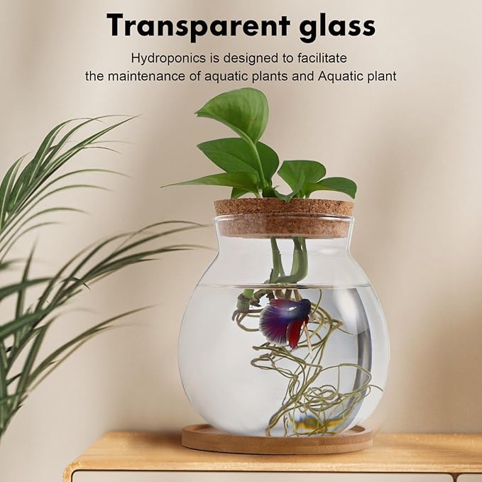 Beavorty Desktop Fish Tank Small Glass Fish Bowl with Cushion 5.51X5.11X1.18In Hydroponic Plant Terrarium Betta Bowl for Home Office Decoration
