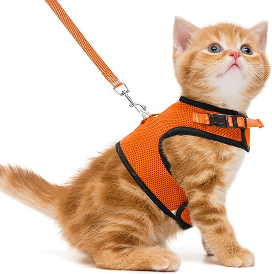 PUPTECK Soft Mesh Cat Vest Harness and Leash Set Puppy Padded Pet Harnesses Escape Proof for Cats Small Dogs Rabbits Bunny, Orange M