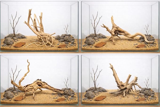 Azil spiderwood Natural Aquarium