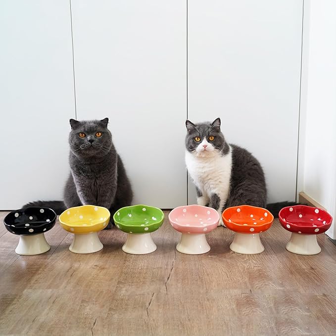 Ceramic Elevated Cat Bowls, Tilted Raised Pet Dish Anti Vomit Kitten Bowl for Indoor Cats, Whisker Friendly Pet Food and Water Bowl for Kitten, Cat, Puppies, Dishwasher Safe (Yellow)