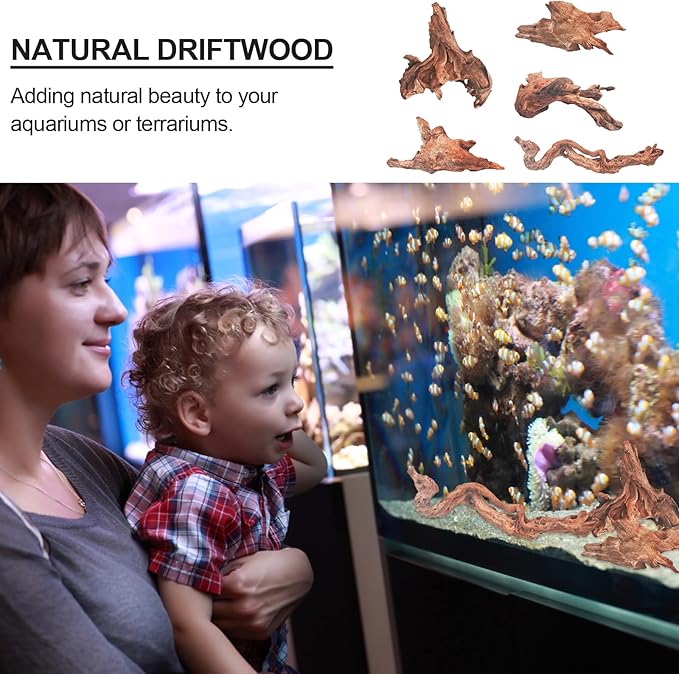 Natural Driftwood Decor for Aquarium Decorations Reptile Tank Accessories, Assorted Wood Branches Decorations on Reptile Fish Tank 2-10" 2 Pcs/4 Pcs/ 5 Pcs/ 6 Pcs (Pack of 5 (3.9 to 6 Inch))