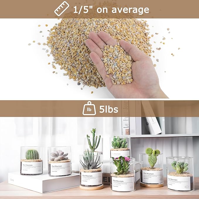 Mulctun 5Lbs Aquarium Gravel, 1/5" Fish Tank Gravel, Succulent Cactus Rocks for Plants Indoor Outdoor, Pea Gravel for Landscaping Vases, Terrarium,Top Dressing, Flower Pots