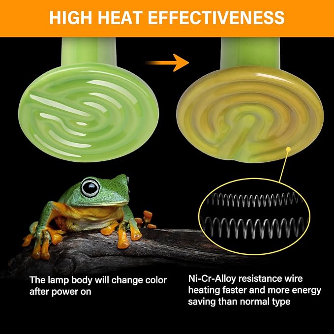 Simple Deluxe 150W 2-Pack Ceramic Heat Emitter Reptile Heat Bulb No Light, LCD Digital Aquarium Thermometer, for Reptile Amphibian, 2 Pack, Green