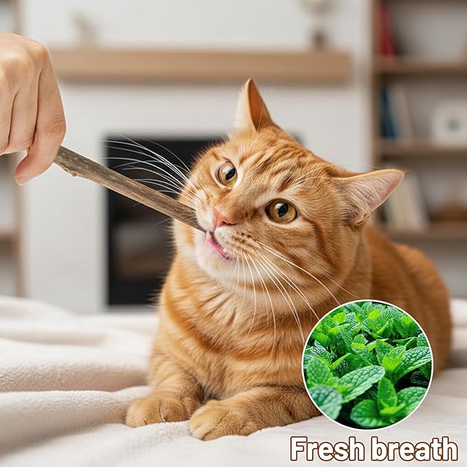 16 PCS Silvervine Sticks for Cats, Dental Chew Tools, Mood Relief for Indoor Cats, Cat Chew Sticks Set with Nice Materials