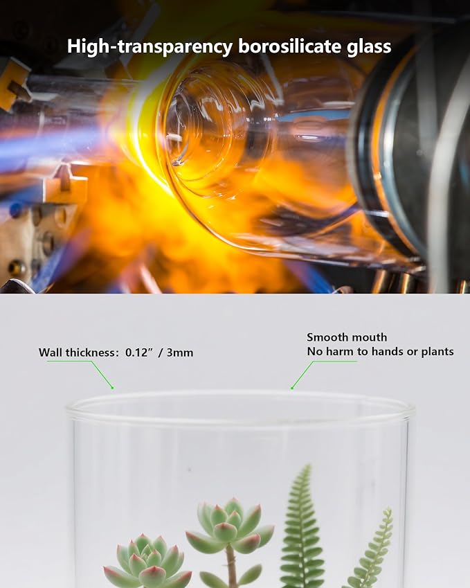 Desktop Glass Terrarium with Grow Light (9.8" H x 5.9" D) - for Succulents, Moss, Mini Gardens, Betta Fish Tanks, Mushroom Cultivation | Indoor Plant Growth | Office/Home Decor | Plant Lover Gifts