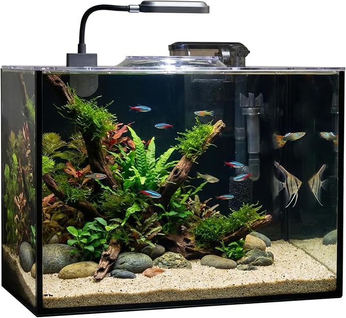 Rise Torrent Glass Fish Tank, 2.8 Gallon Betta Fish Tank Aquarium Starter Kit with Filter and Light, Small Desktop Aquarium Kit for Betta, Goldfish, Small Fish or shrimg