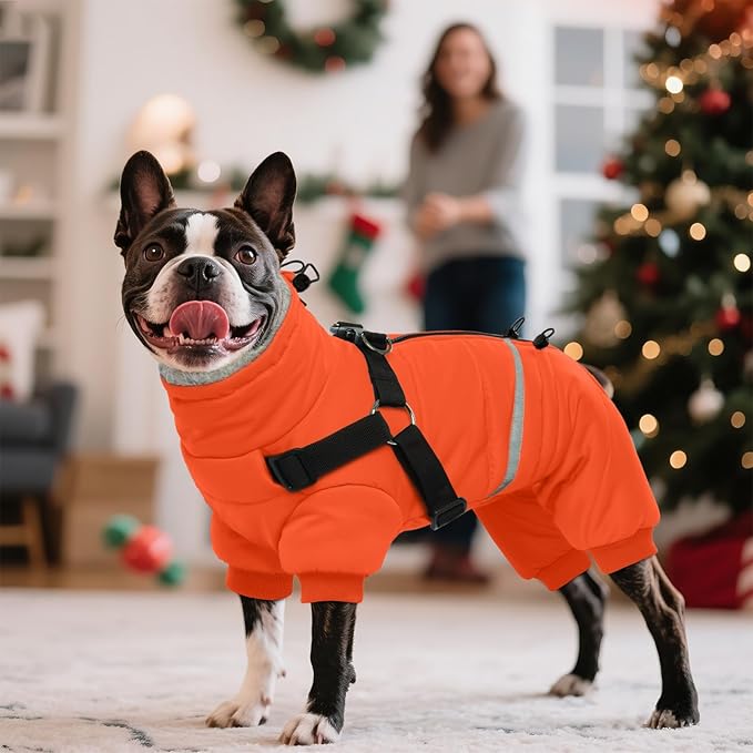 BRKURLEG Small Dog Winter Coat with Harness Built in, Orange Winter Dogs Jackets, Fullbody Dog Coat, Dogs Snowsuits Reflective Windproof Cold Weather Coats, Pet Warm Fleece Coats, S