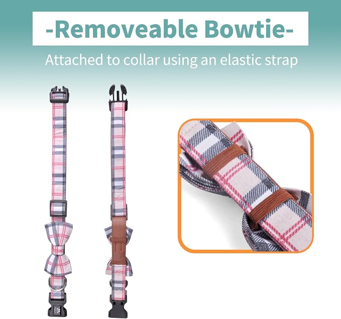 IVY&LANE Dog Collar with Bowtie and Leash Set | Plaid Adjustable Dog Collar | Detachable Bow Tie |5 FT Dog Leash | for Small Medium Large Dogs | Checkered Beige | Small