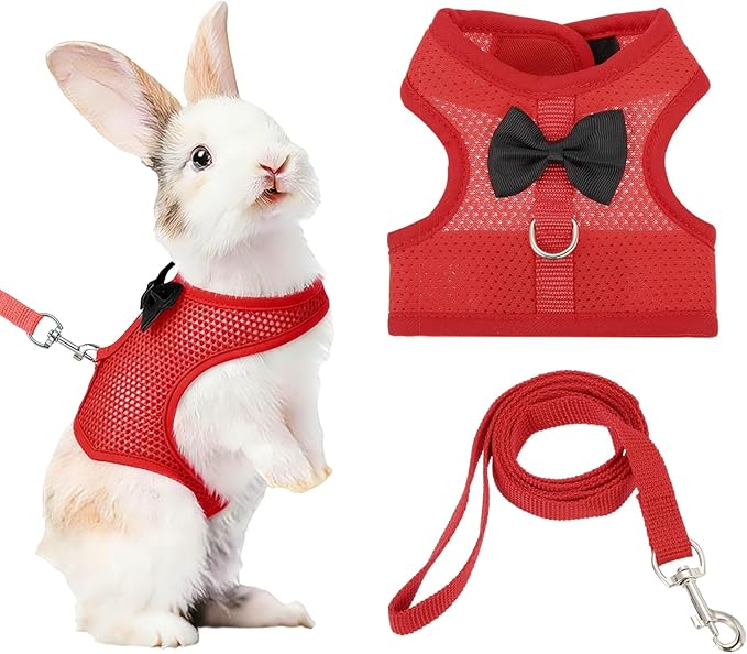 Rabbit Harness and Leash, Small Pet Cute Vest Harness Leash Soft Adjustable Buckle Breathable Mesh (M, Red) for Bunny Kitten Small Pig Puppies Camping Hiking Training