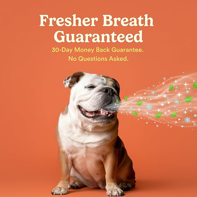 Jasper Dog Tooth Brushing Kit and Dog Toothpaste Kit 360 Dog Toothbrush Enzymatic Plaque Remover Imporves Bad Breath Natural Pet Toothpaste Dog Toothbrush and Toothpaste 2 oz Chicken Flavor