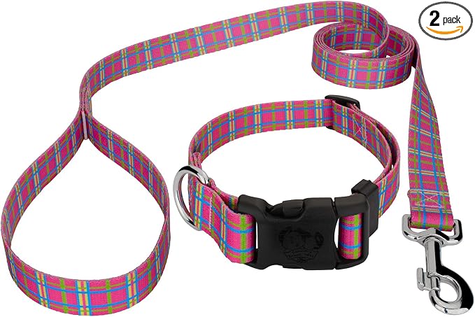 Country Brook Petz - Bubblegum Pink Plaid Everyday Collar and Leash - Plaid and Argyle Collection Featuring Charming Designs (1 Inch, Medium)