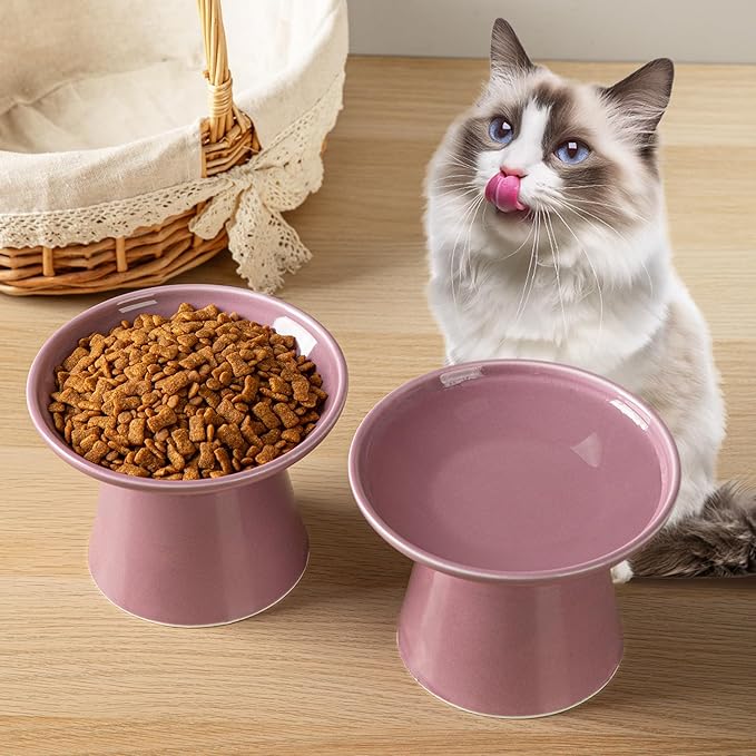 6.2 Inch Extra Wide Elevated Ceramic Cat Bowls, Food and Water Bowl Set for Elder Big Cats Small Dogs, Raised Design for Pet Easy Eating, Protect Cat's Spine Set of 2(Dark Purple)