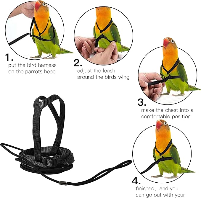 2 pcs Pet Parrot Bird Harness and Leash, Adjustable Training Design Anti-Bite, Outdoor Flying Training Rope Kit for Bird Parrots Fits Birds Chest Between35-62cm /13.78-24.41inch - L (Black)