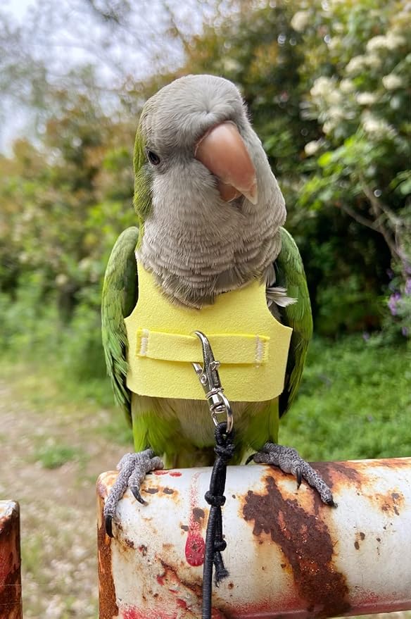 Bird Flight Harness Vest Parrot Flight Suit with Leash for Parakeets Cockatiels Conures Budgies, Bird Flying Clothes with Rope and Handle for Outdoor Activities Training (L,Yellow)