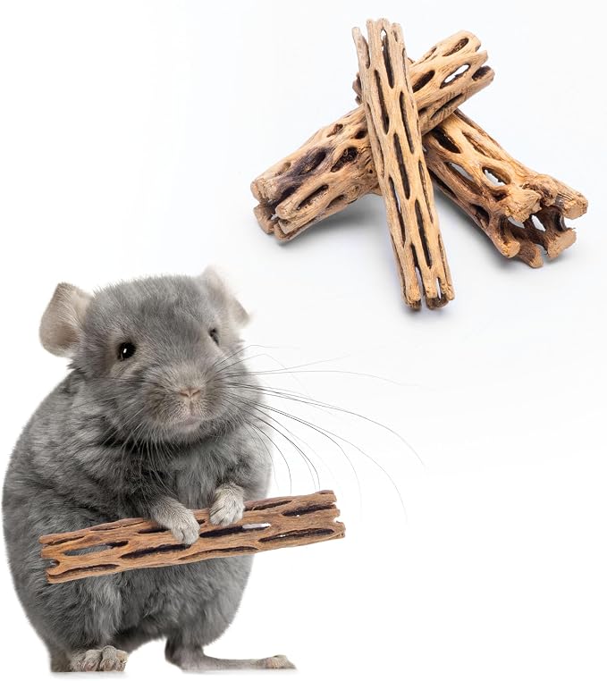 Natural Cholla Wood - Driftwood for Aquariums, Air Plant Base, Hermit Crab and Freshwater Shrimp Hideout, Fish Tank Decoration, Chinchilla Chews, Reptile Habitat Wood - 6 Inch, 2pc