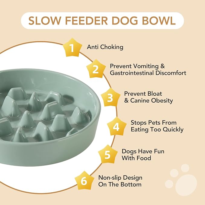 Havniva Ceramic 3.2 Cup Dog Bowl Slow Feeder, 9.5 inch Slow Pet Food Dish for Large Dog, Stop Bloat, Preventing Choking(Single Bowl,Light Green)