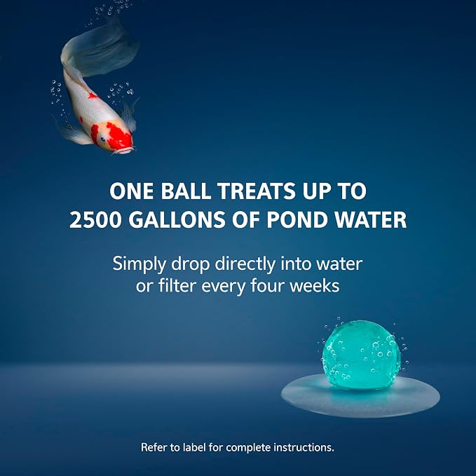 Aqueon Pure Sludge Bomb, Reduces Sludge and Organic Waste in Ponds and Koi Habitats, Breaks Down Muck and Clarifies, Treats 2500 Gallons, 1-Pack
