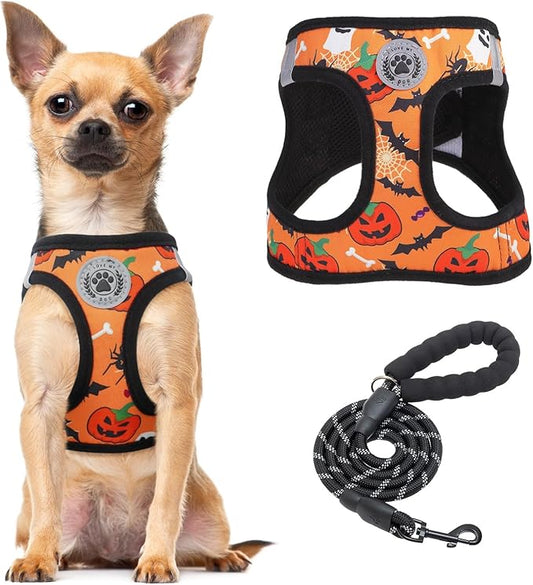 BEAUTYZOO Step in Dog Harness and Leash Set,Floral Pattern Reflective Dog Harness No Pull No Choke Puppy Harness for Small Dogs Cats,Soft Padded Mesh Vest Harnesses for Girl and Boy Pets,Halloween XS