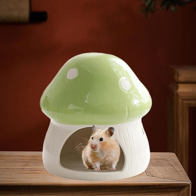 Ceramic Hamster House Guinea Pig Hideout Outdoor Creative Sturdy Habitat Hideaway House for Rats Chipmunk Squirrels, Green