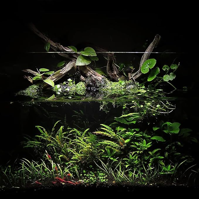 Ultum Nature Systems Controsoil - Freshwater Aqua Soil Substrate for Fish, Shrimp, Live Plant Propagation and Aquascaping - 6.8pH Low Ammonia, Volcanic Ash - Black, Fine (3 Liter)