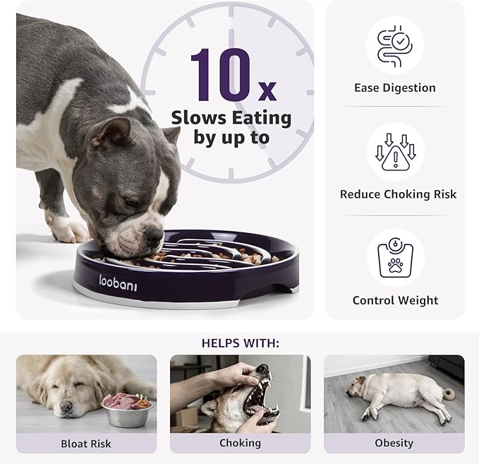 LOOBANI Ceramic Slow Feeder Dog Bowl 11.7" Width - for Large & Great Breeds, Slow Eating, Perfect for Great Danes, Saint Bernards & Mastiffs, Large Dogs (XL, Purple)