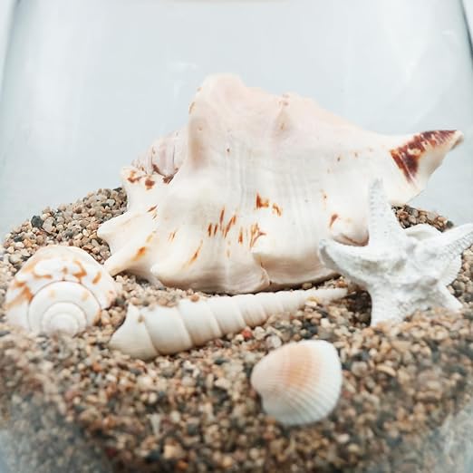 11lbs Aquarium Silica Gravel, 1-2mm Fish Tank Substrate, All Purpose Mixed Silica Sand for Aquarium, Fire Pits, and Landscaping