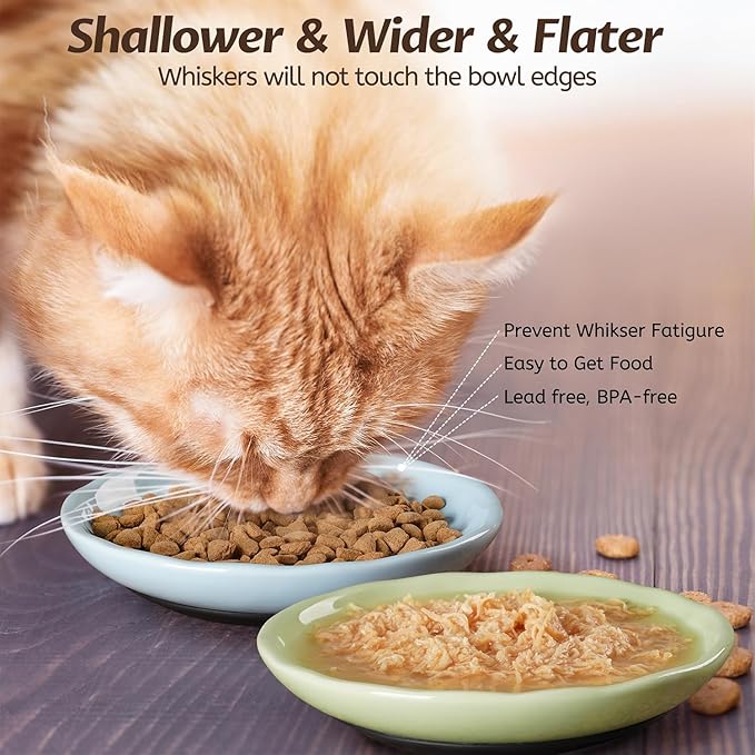 WROSWT Non-Slip Cat Food Bowl,Healthy Ceramic Cats Bowls with Silicone Bottom, Anti-Whisker Fatigue Cat Dishes Set, Shallow & Wide Kitten Plates for Food and Water, 4 Pack