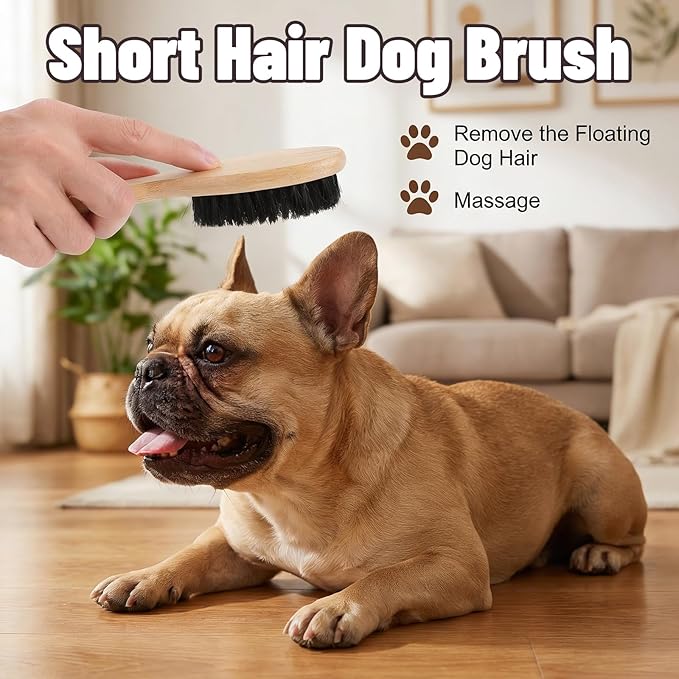 Soft Boar Bristle Dog Brush for Short Haired, Gentle Deshedding & Grooming Tool, Ideal Pet Hair Brush, Wood Handle Soft Pets Hairs Brushes for Short Hair Cats and Small Dogs, Small