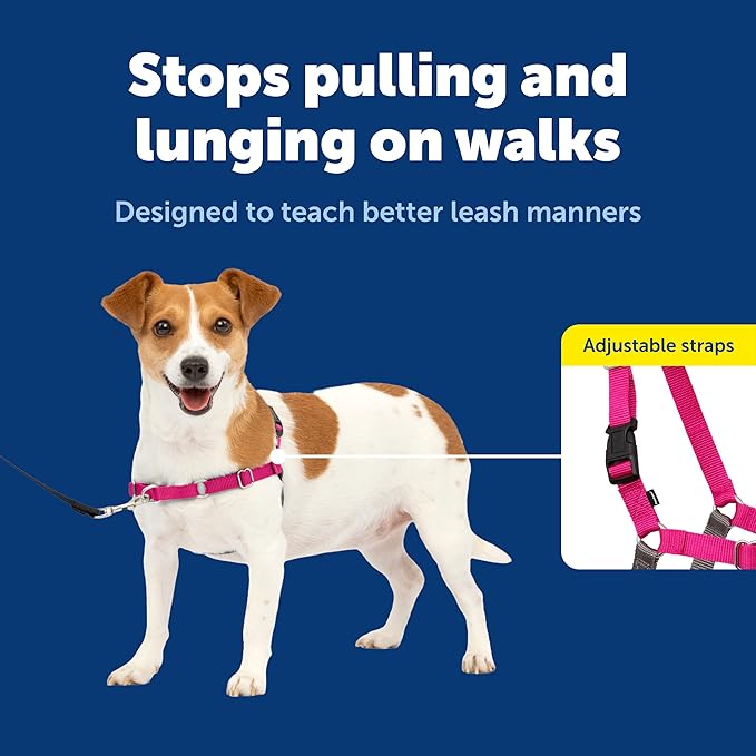 PetSafe Easy Walk No-Pull Dog Harness - The Ultimate Harness to Help Stop Pulling - Take Control & Teach Better Leash Manners - Helps Prevent Pets Pulling on Walks, Small, Raspberry/Gray