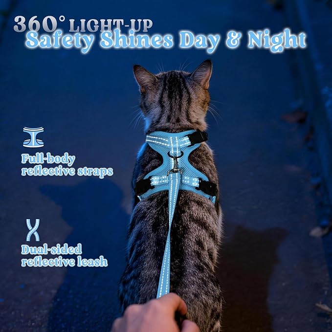 rabbitgoo Cat Harness and Leash, Escape Proof Vest with 3 Adjustable Buckles, Soft Comfortable Kitten Harness, Easy to Wear, Reflective for Safe Outdoor Walking, XS, Sky Blue