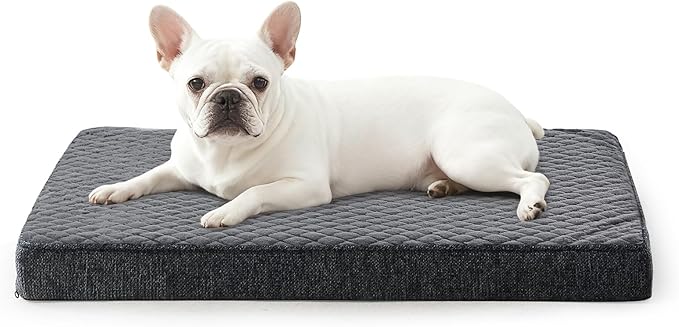 JOEJOY Orthopedic Dog Bed for Small Dogs, Washable Dog Crate Bed Small Sized with Removable Cover, Egg Memory Foam Pet Beds, Grey, 23"x17"