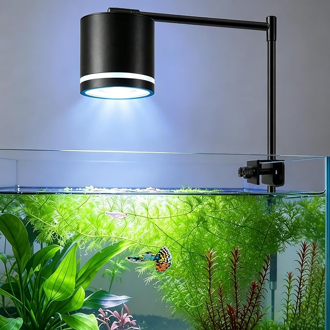 HITOP Clip-On Aquarium Spotlight for 30-55cm Reef/Freshwater Tanks, Fish Tank Light with COB LED, White & Blue Color, Auto Mode &Timer, Adjustable Height & Angle