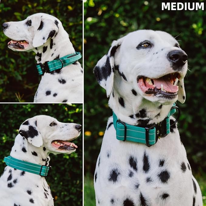 Tuff Pupper Tactical Dog Collar | Heavy Duty 1.5" Wide Ballistic Nylon | Training Control Handle | Quick-Release Metal Buckle | Reflective Bands | ID Tag Holder | Padded Inner Lining (Green, Medium)
