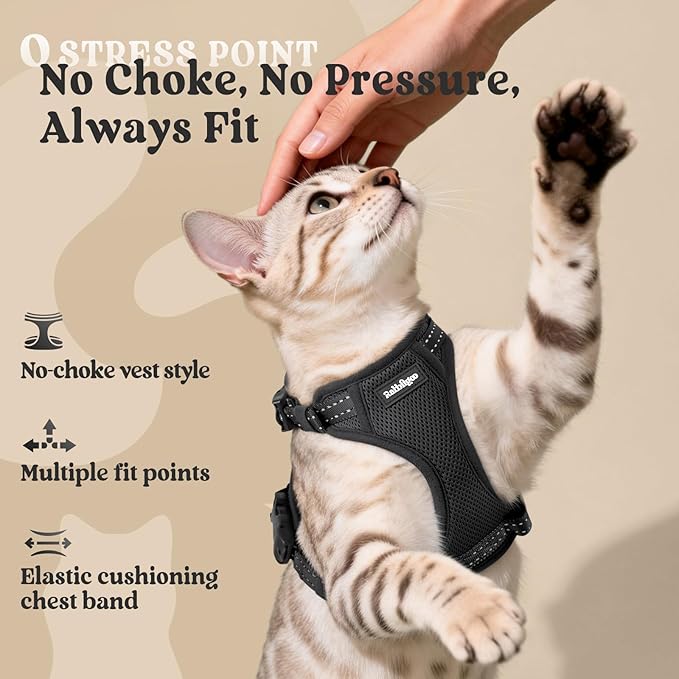 rabbitgoo Cat Harness and Leash, Escape Proof Vest with 3 Adjustable Buckles, Soft Comfortable Kitten Harness, Easy to Wear, Reflective for Safe Outdoor Walking, Small, Black